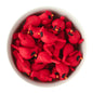 3D Cardinal Silicone Focal Bead for silicone bead crafting from Cara & Co Craft supply